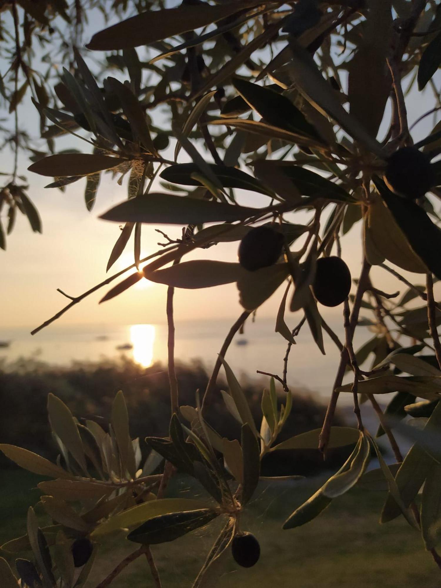 Appartamento La Scaletta Cavaion Veronese Exterior foto